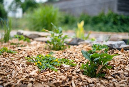 zijte_testimonials_045