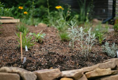 zijte_testimonials_086