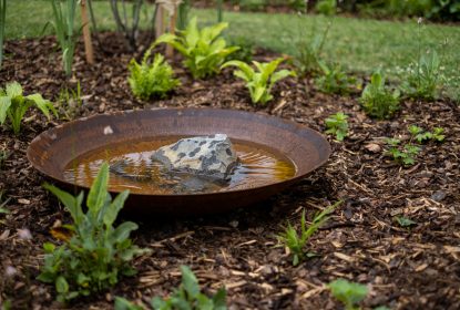 zijte_testimonials_198