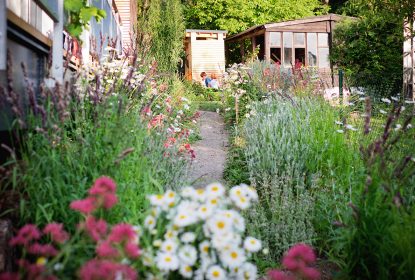 Copy of dubec atelier flera 04