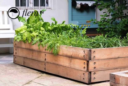 kurz CHYTRE Flera TV Jak na zahon