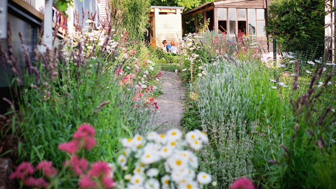 zahrada pro kamarada flera 04