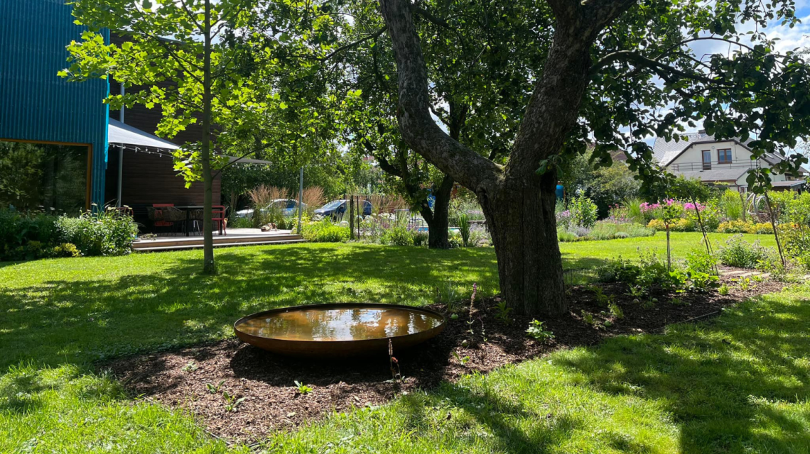 Flera | Míša realizuje zahradu