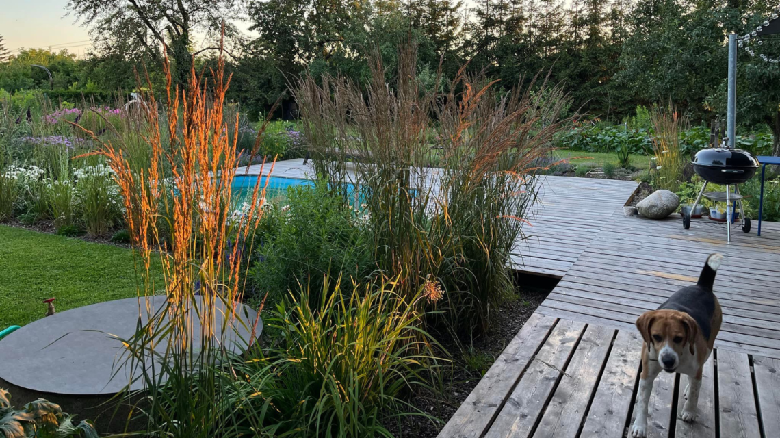 Flera | Míša realizuje zahradu