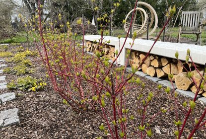 michaela_feedback_105