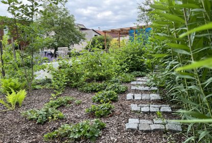 michaela_feedback_135