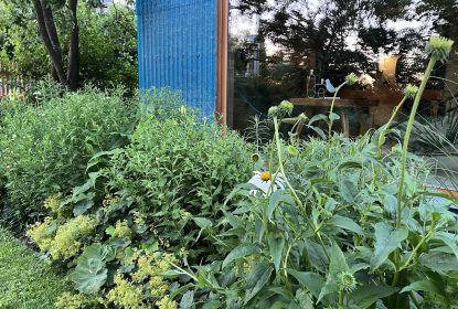 michaela_feedback_152