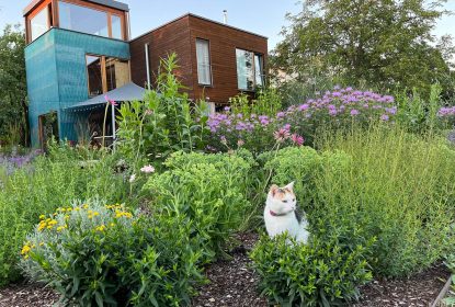 michaela_feedback_173