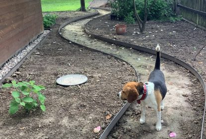 michaela_feedback_35