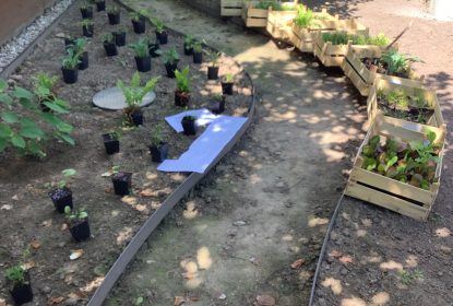 michaela_feedback_42