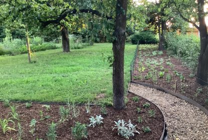 michaela_feedback_49