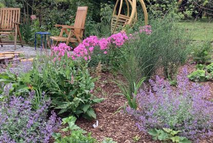 michaela_feedback_70