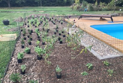 michaela_feedback_84