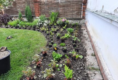 196297187_486858382371442_2337589487635292713_n