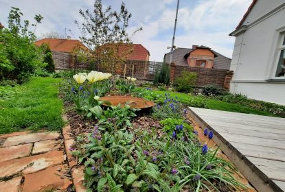 279213812_534338871657185_8783911095864208346_n