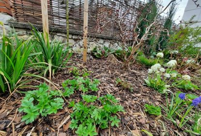 279213812_561685948705262_5729249950527356346_n