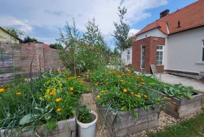 293315807_752201142691695_6982711595670842668_n