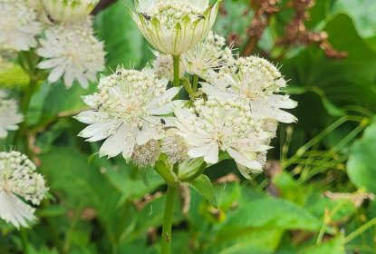 293623569_800896827745744_8594002868439435794_n