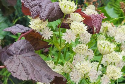 293765666_564429421969990_9109671929487064770_n