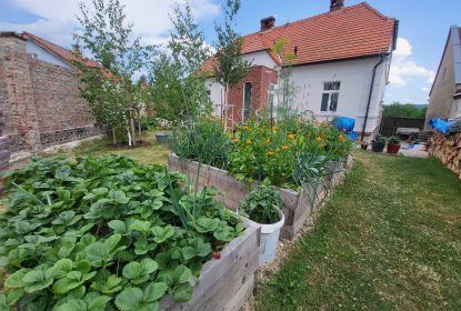 294388196_565937968407533_8433974631675213636_n