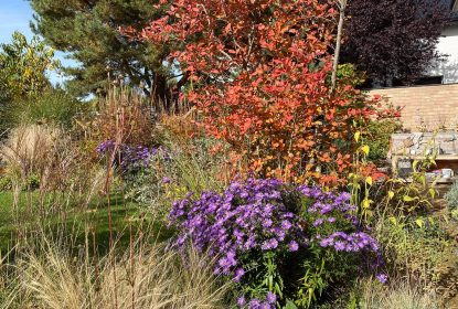 marketa_jurcikova (14)