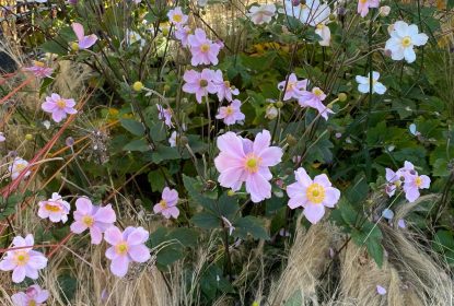 marketa_jurcikova (15)