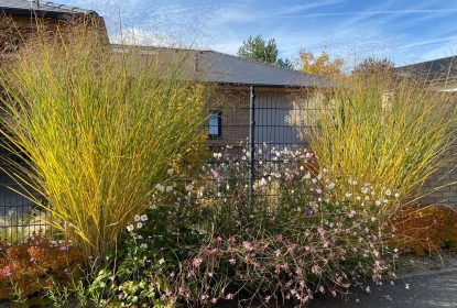 marketa_jurcikova (16)