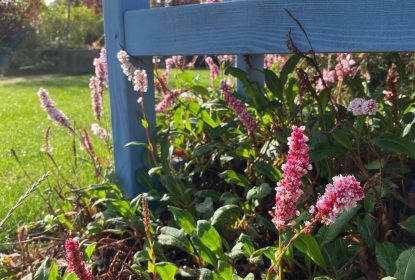 marketa_jurcikova (17)