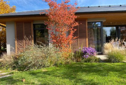 marketa_jurcikova (3)