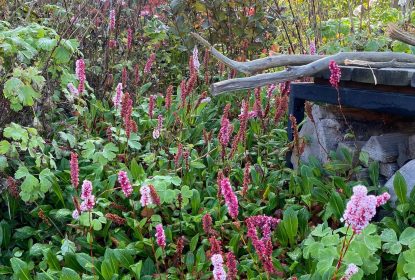 marketa_jurcikova (8)